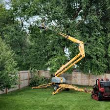 Best Palm Tree Trimming  in Smithton, IL